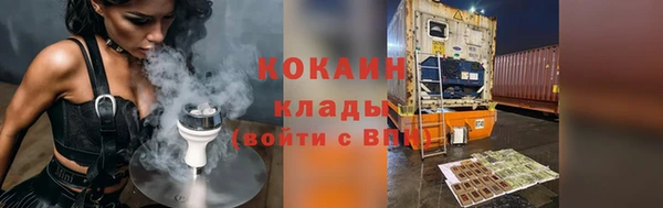 дживик Богородск