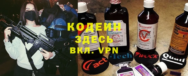 дживик Богородск