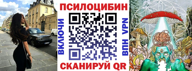 Псилоцибиновые грибы Cubensis  Бодайбо 